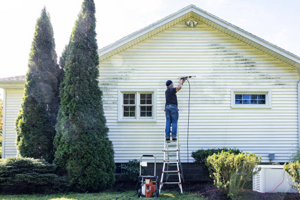 Best Spring Cleaning  in Rainelle, WV